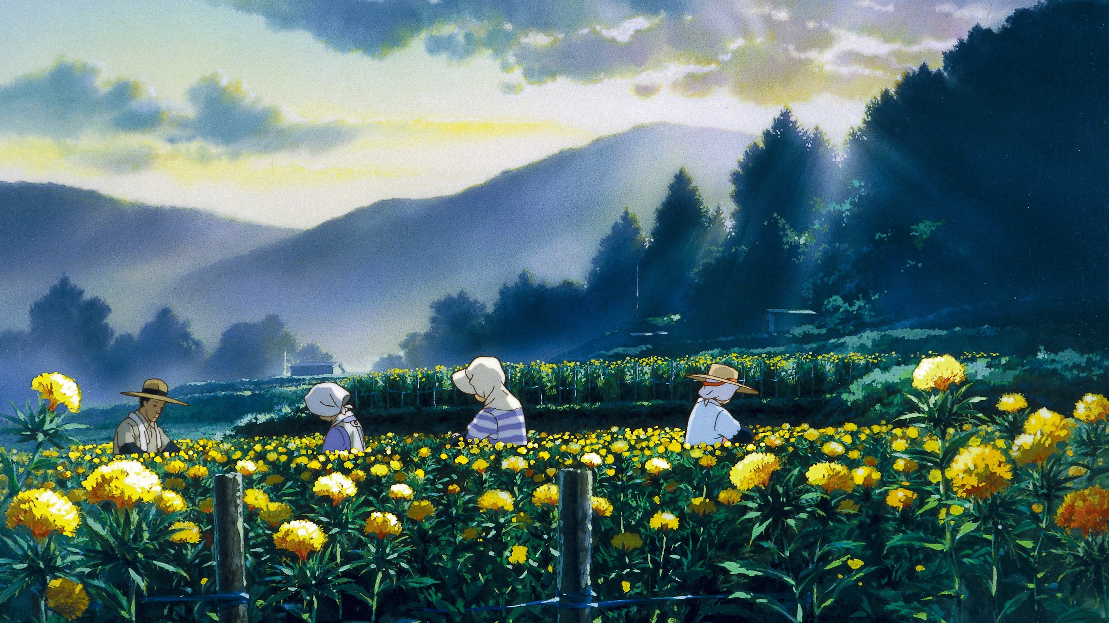 Uma plantação de flores em meio às montanhas, com pessoas coletando elas